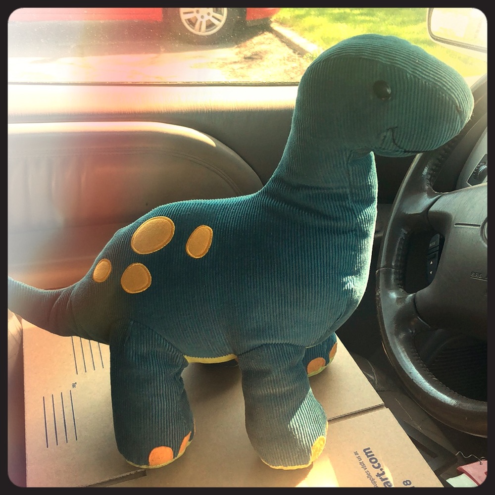 Dinosaur 🦕